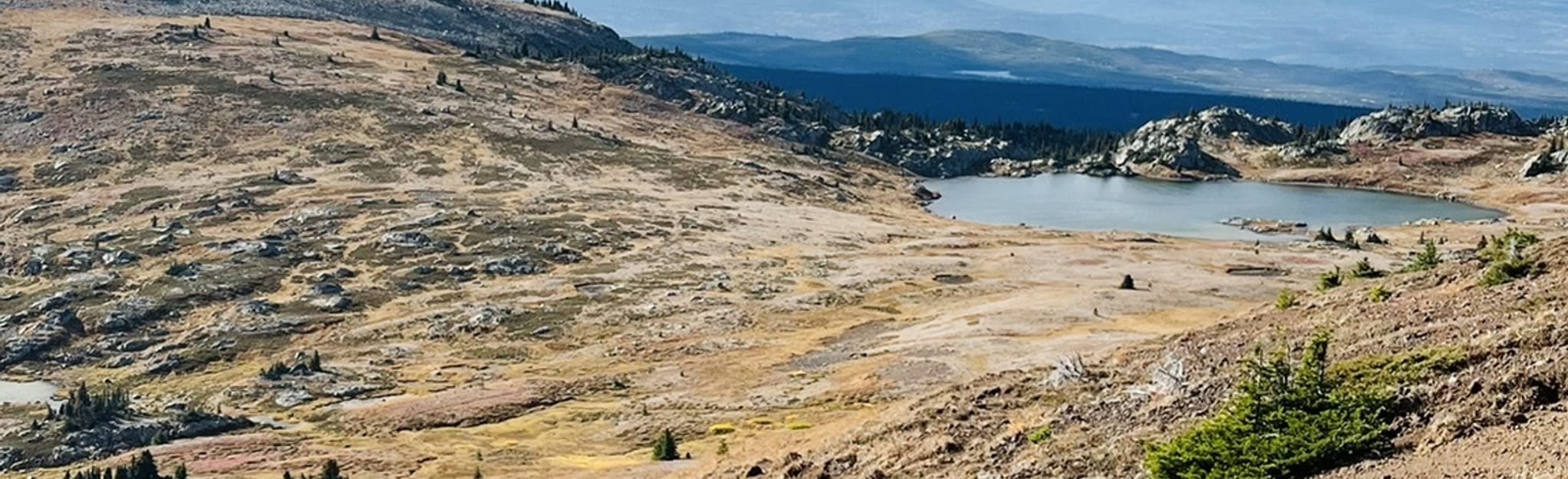 Big Timothy Mountain, British Columbia, Canada 5 Reviews, Map AllTrails