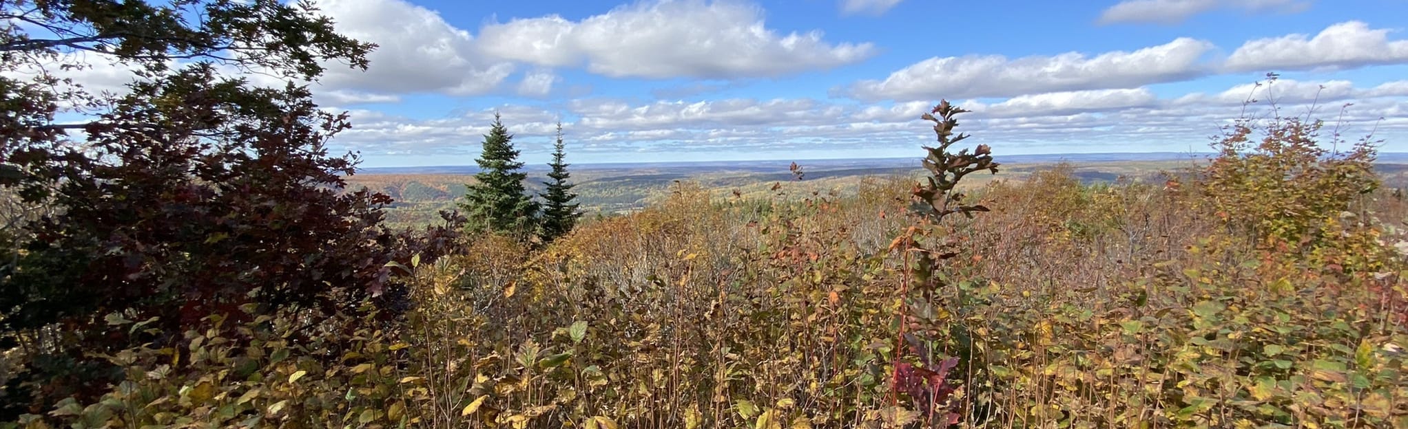 Dobson Trail Prosser to Hayward Pinnacle 13 Reviews, Map New