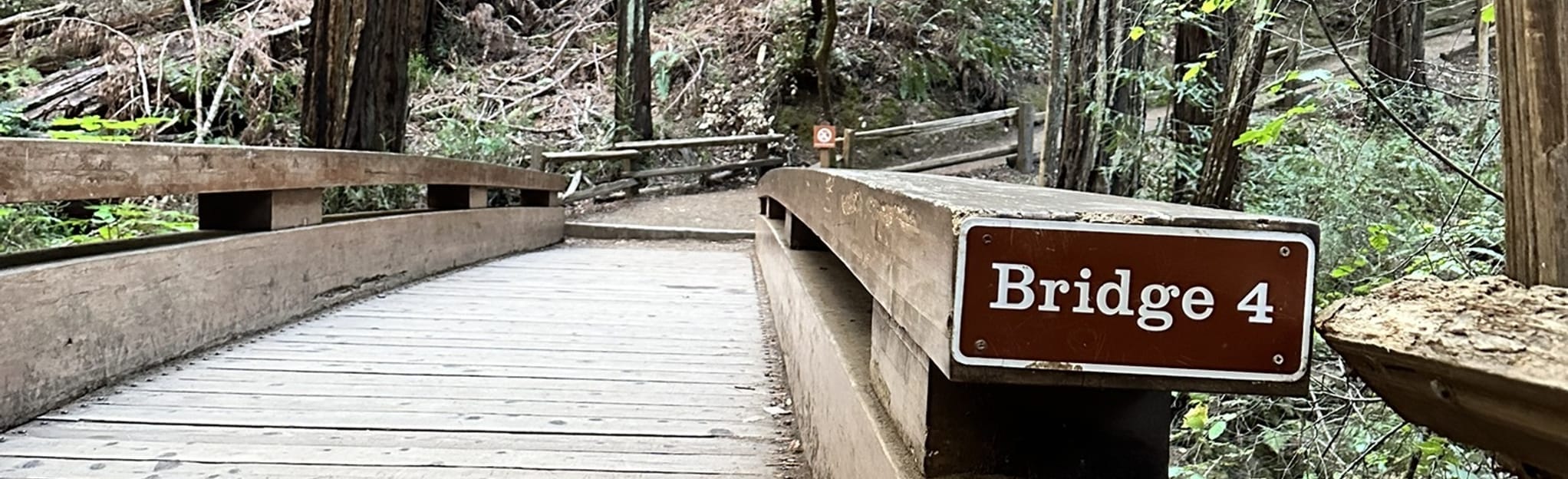 AllTrails Great Allegheny Passage Rockwood to Cumberland 34 Reviews, Map Pennsylvania