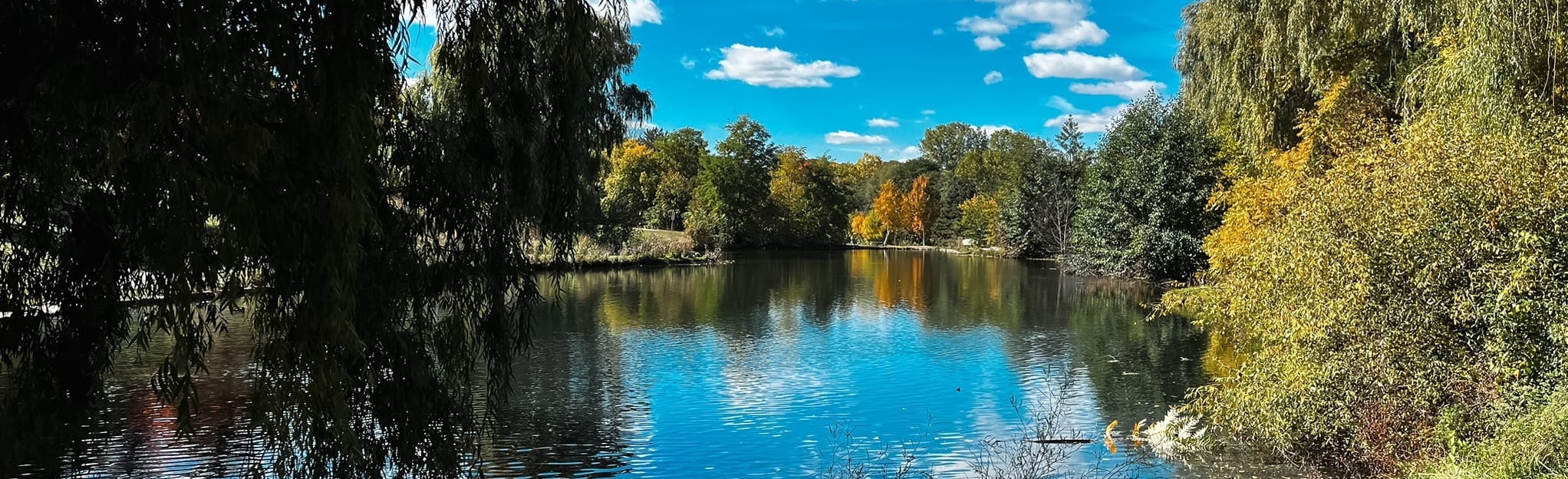 Churchill Park Path, Ontario, Canada 85 Reviews, Map AllTrails