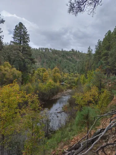 Best River Trails in Heber-Overgaard | AllTrails
