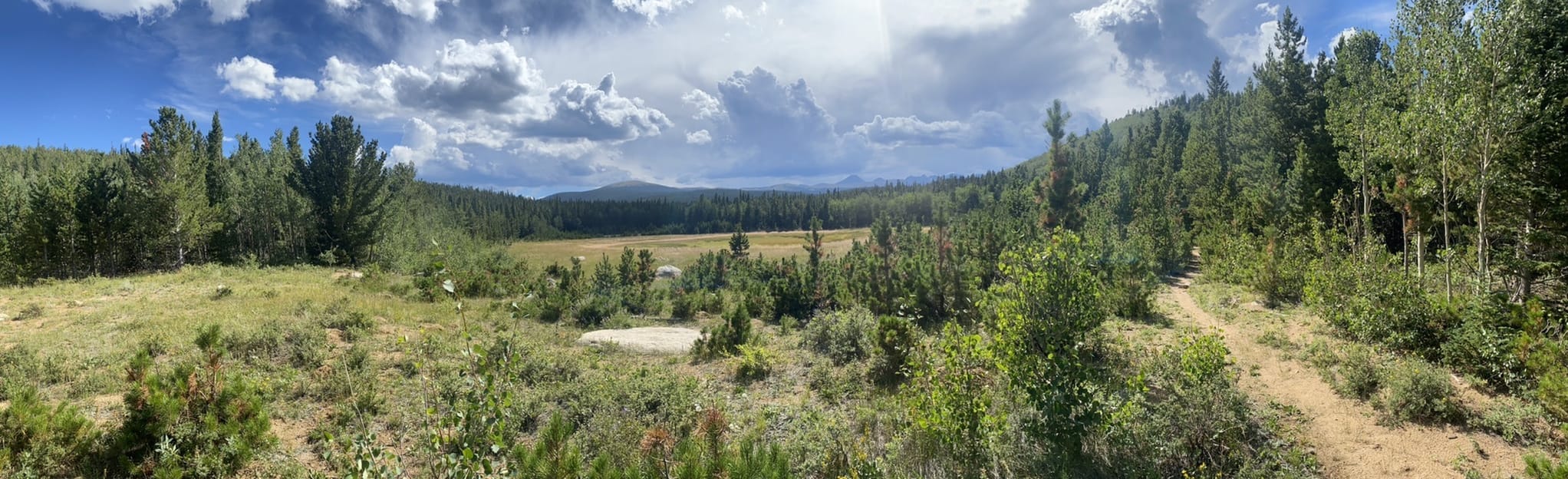 South Saint Vrain Figure 8 Loop 70 Reviews, Map Colorado AllTrails