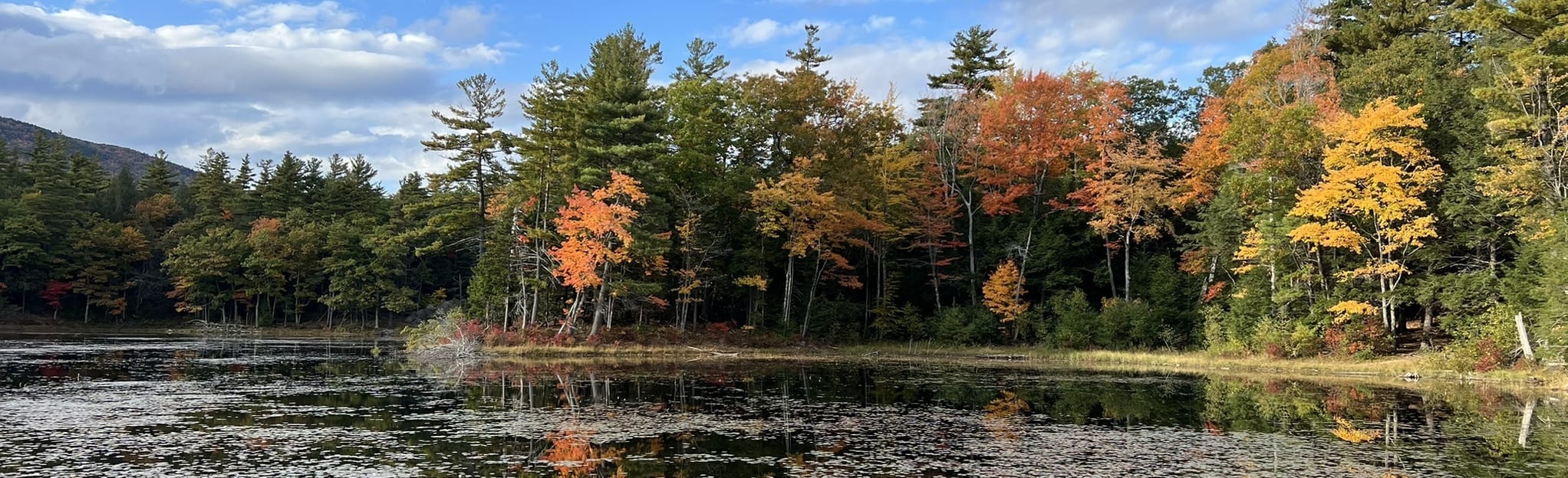 Monadnock Mountain via Birchtoft Trail : 664 Reviews, Map - New ...