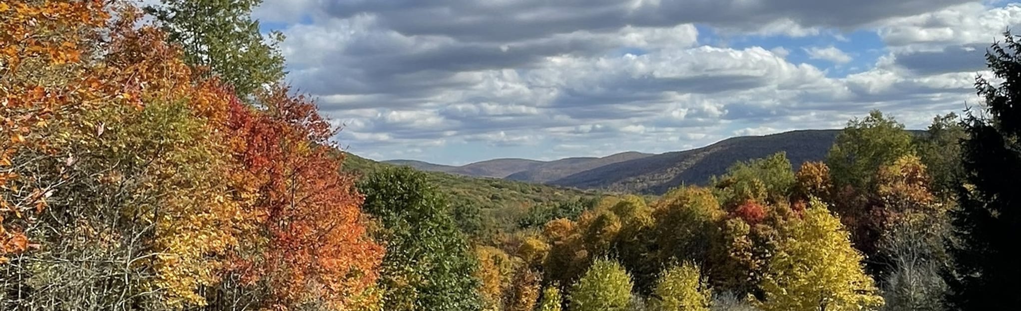 Little Pond, Beaverkill Overlook, Cabot Mountain Loop: 45 Reviews, Map ...