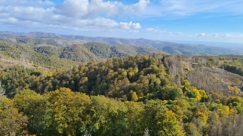 Großer Knollen und Aschentalshalbe ab Bad Lauterberg