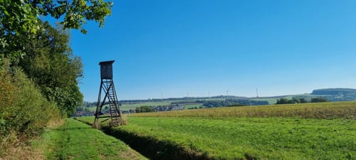 Eco Pfad Söhre