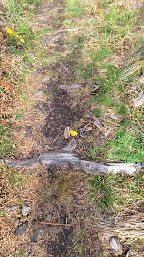 Velmerstot Rundwanderung