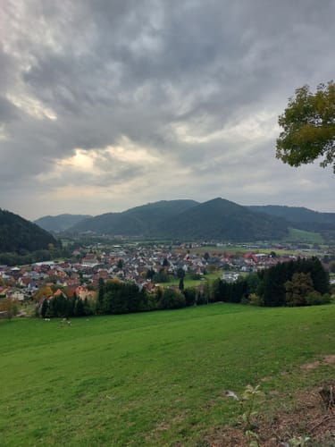 Walderlebnispfad Hörnleberg