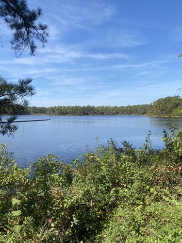 Best Hikes and Trails in Smith Lake Recreation Area | AllTrails