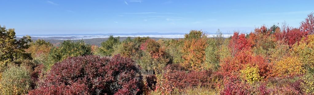 Gap Mountain North Trail, New Hampshire - 438 Reviews, Map | AllTrails