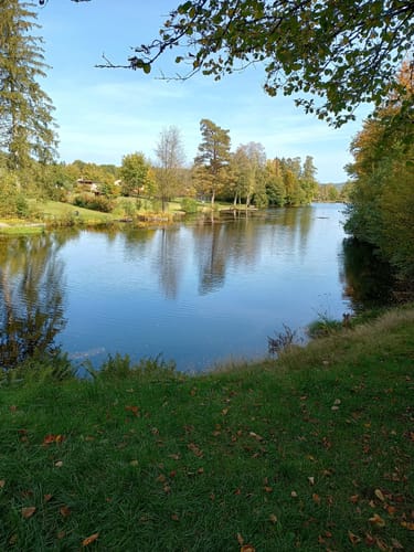 Wasgau Seen Tour (Premiumwanderweg)