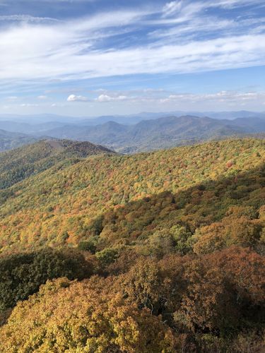 Best 10 Hikes and Trails in Pisgah National Forest | AllTrails