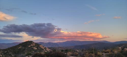 lake arrowhead restaurants dog friendly