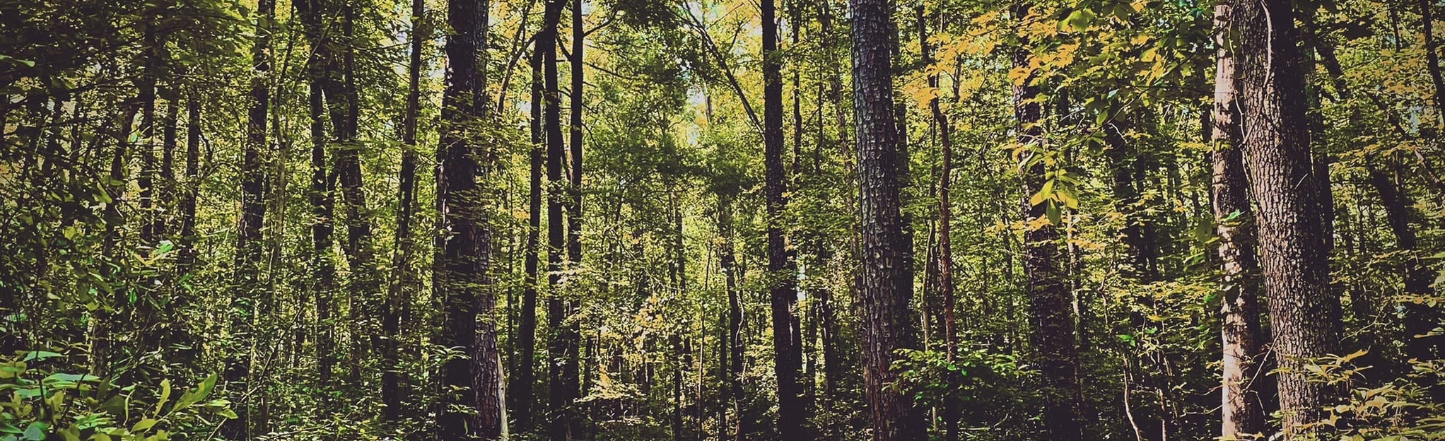Huguenot Park Trails 115 Reviews, Map Virginia AllTrails