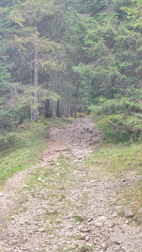 Von der Laber-Bergbahn nach Oberammergau