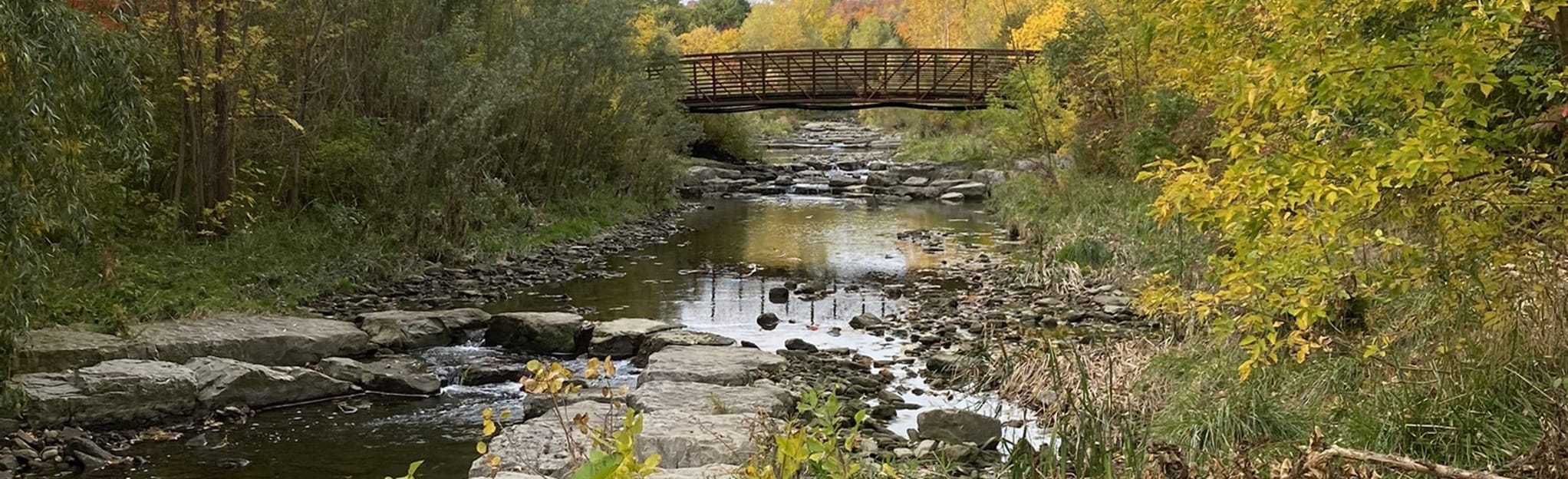 Red Hill Valley Trail King's Forest 61 Reviews, Map Ontario, Canada