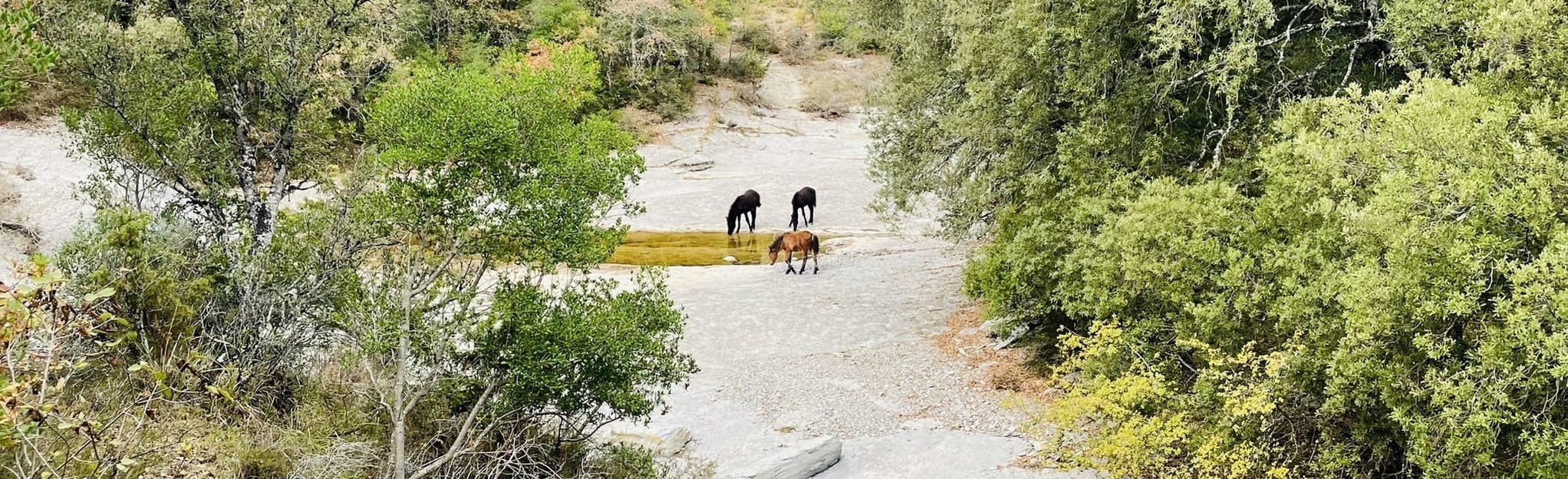 Hueto Arriba Ermita de Santa María 6 Photos Álava, Spain AllTrails