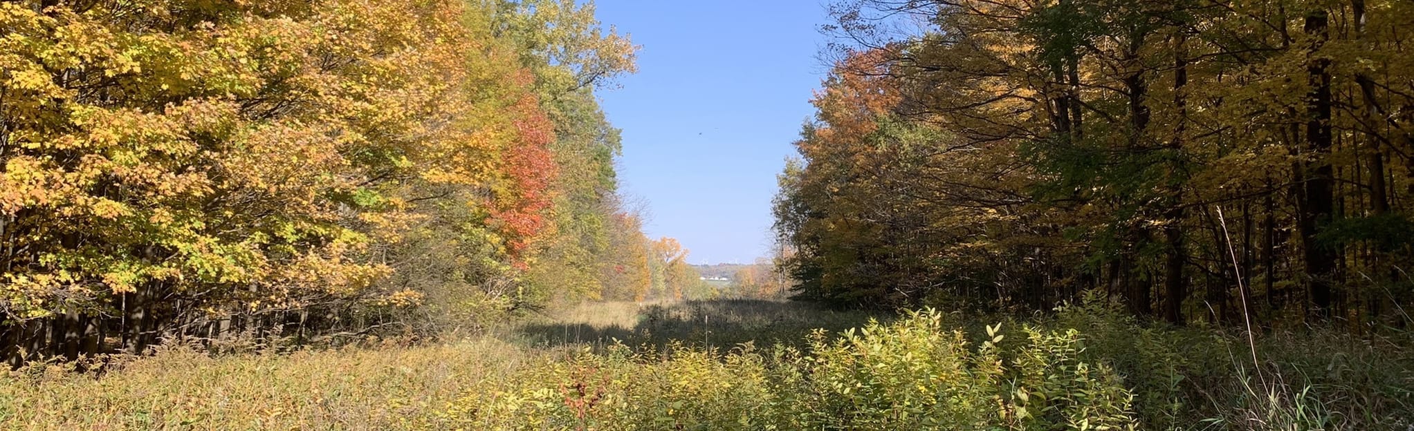 Hunters Creek Conservation Trail, New York 944 Reviews, Map AllTrails