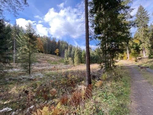 Silbach - Meisterstein - Langenberg
