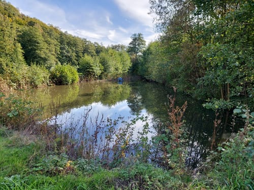 Vom Deilbachtal ins Felderbachtal