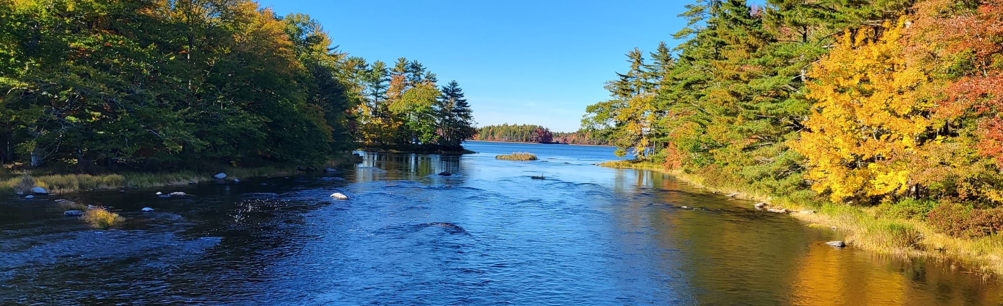 Liberty Lake Trail 8 Reviews, Map Nova Scotia, Canada AllTrails