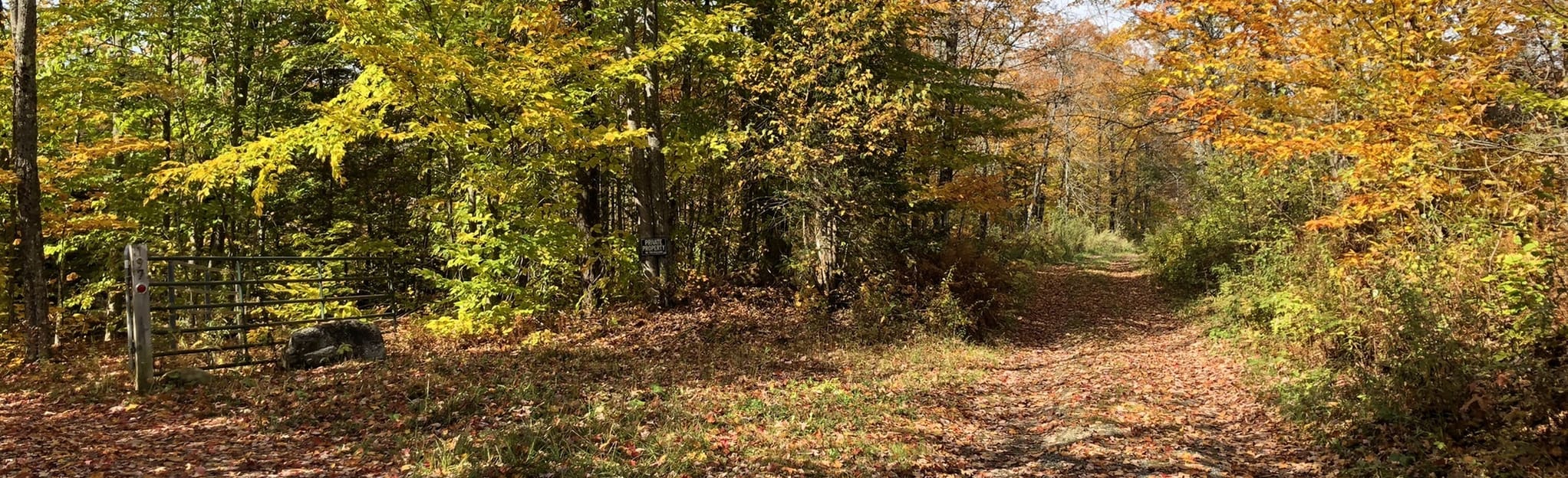 Laraway Mountain via Davidson and Long Trail 12 Reviews, Map Vermont