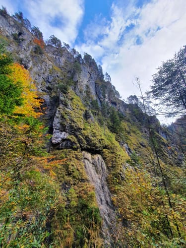 Almbachklamm