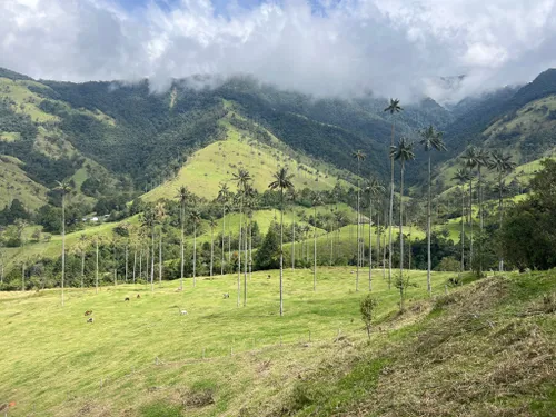 The Coolest Things to Do in Armenia, Colombia (The Capital of Quindio)