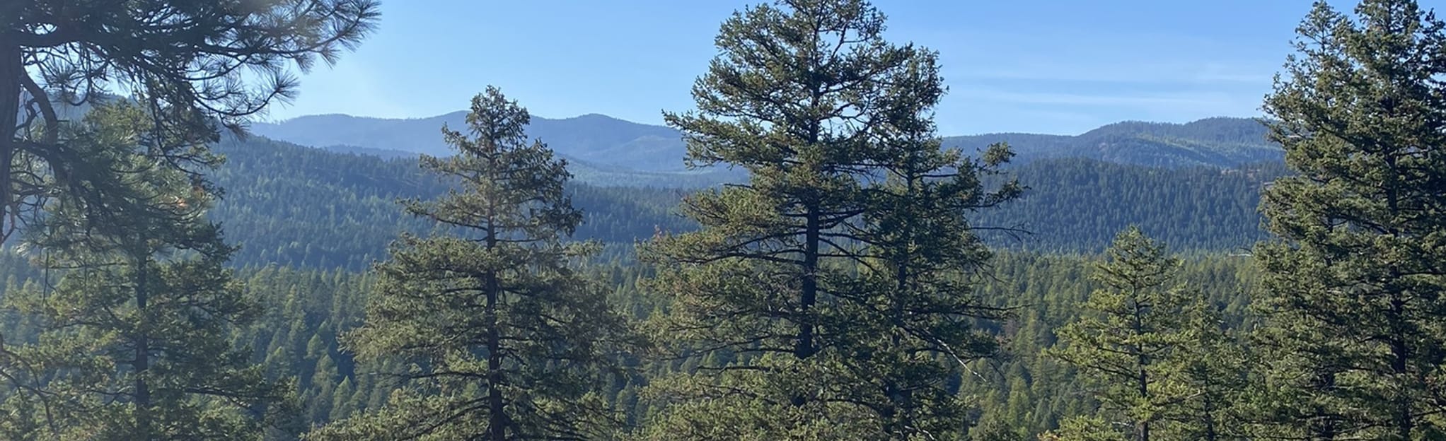 Cliff Lake Overlook 136 Reviews, Map Montana AllTrails