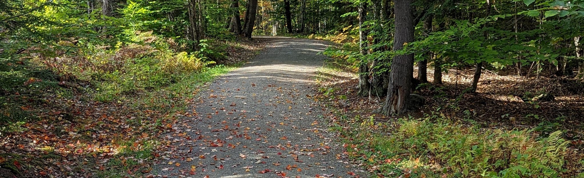 Hermon Recreation Trail, Maine 76 Reviews, Map AllTrails