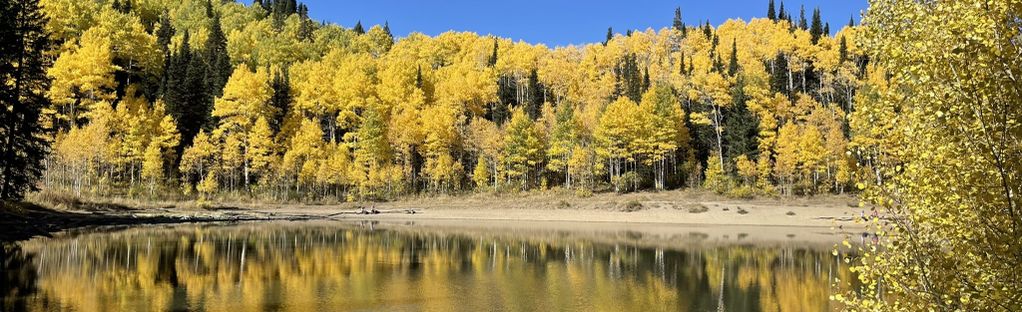 are bikes allowed on dog lake trail millcreek canyon