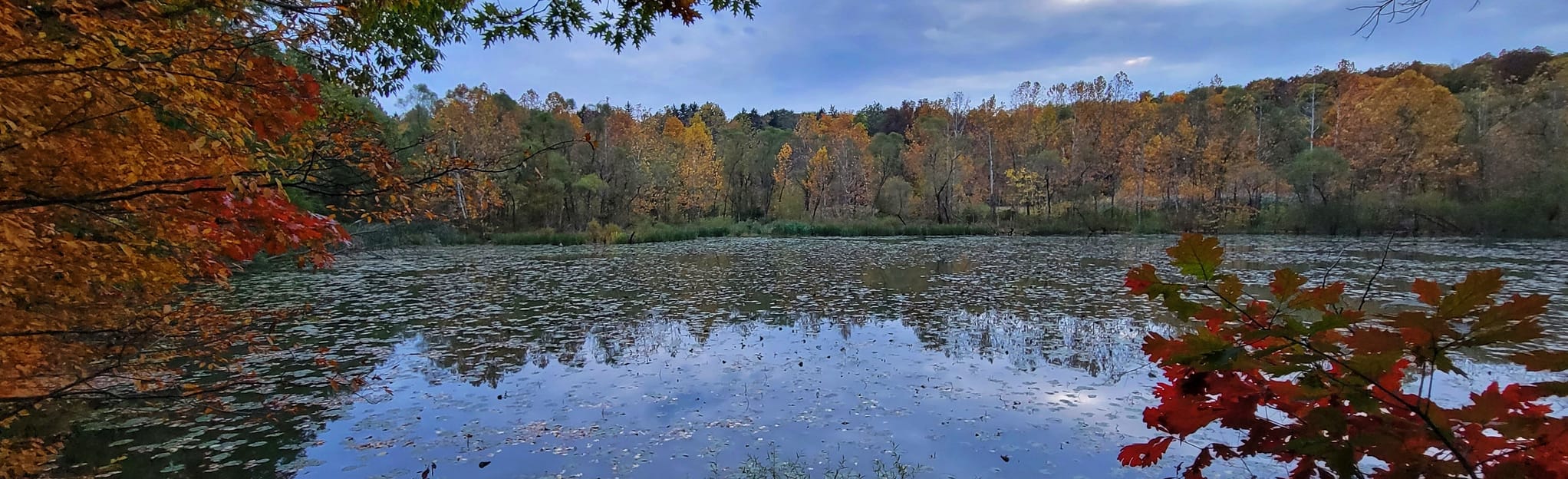 Hinckley Lake Inner Loop, Ohio 1,582 Reviews, Map AllTrails