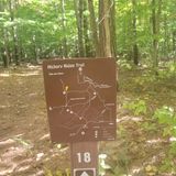 Nebo Ridge Trail, Indiana - 196 Reviews, Map | AllTrails