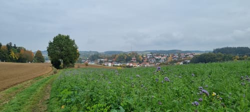 Rund um Buch am Erlbach