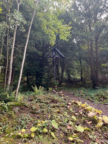 Rund um den Effelner Wald