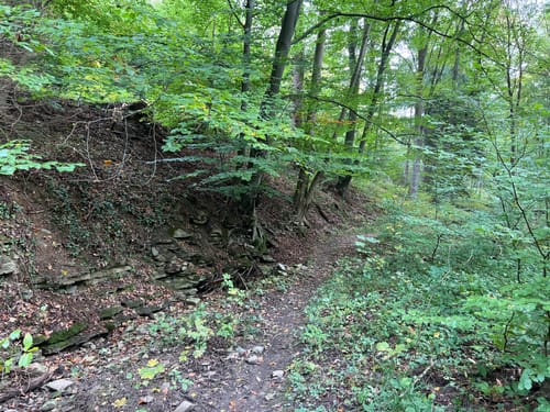 Rund um den Effelner Wald