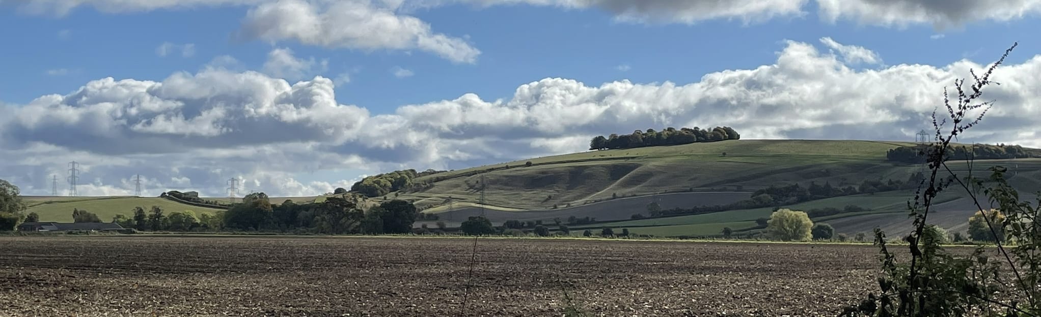 The Bruce Arms Circular 18 foto's Wiltshire, England AllTrails