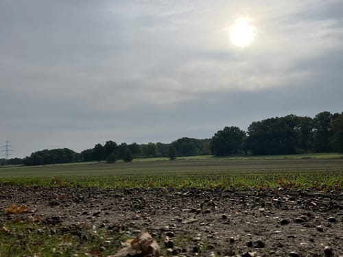Pastor Bode Weg Etappe 1: Lüneburg - Salzhausen