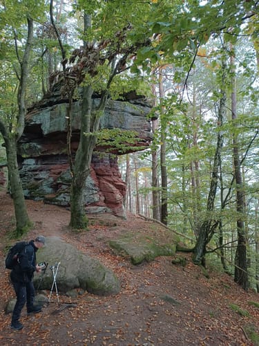 Bärensteig (Premiumwanderweg)