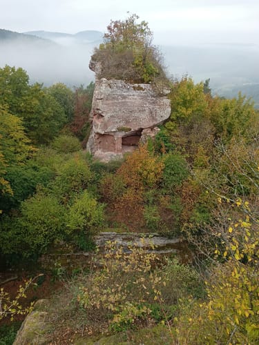 Bärensteig (Premiumwanderweg)