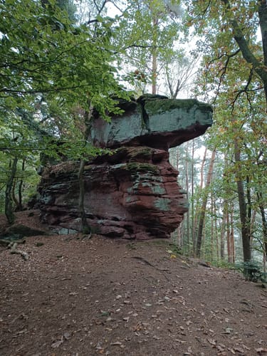 Bärensteig (Premiumwanderweg)