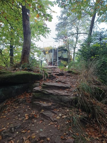 Bärensteig (Premiumwanderweg)