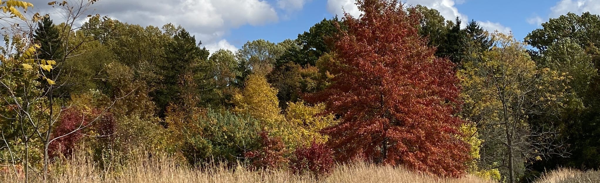 Munroe Falls Meadow Trail, Ohio 747 Reviews, Map AllTrails