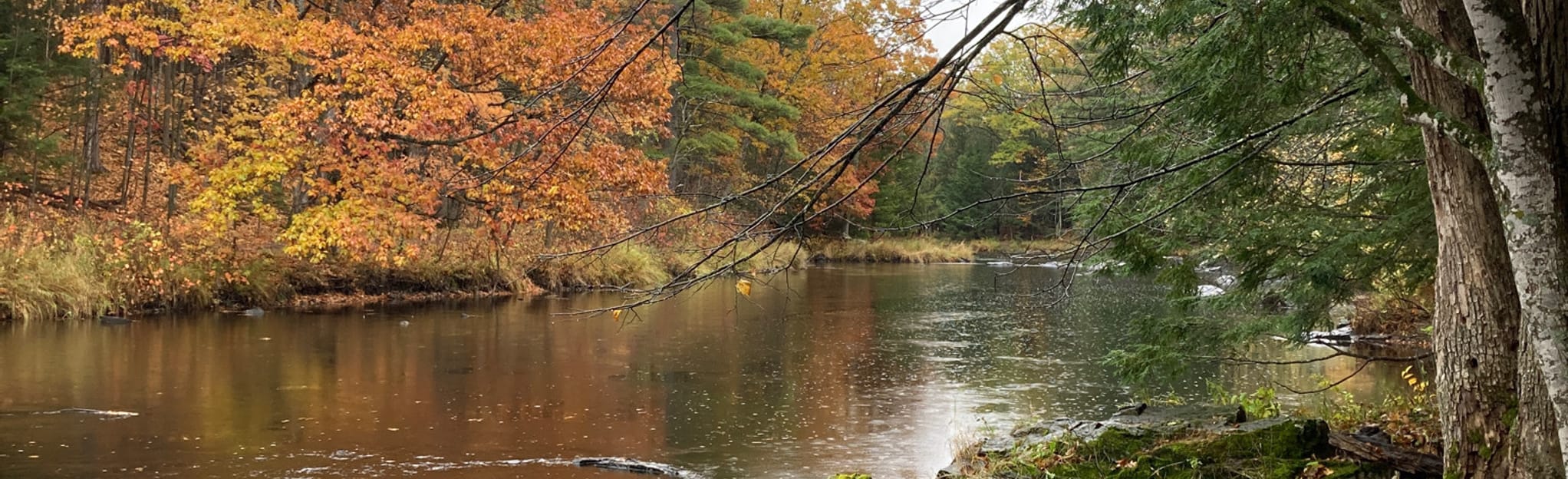 Ice Age Trail Dells of the Eau Claire River Segment, 336 Photos