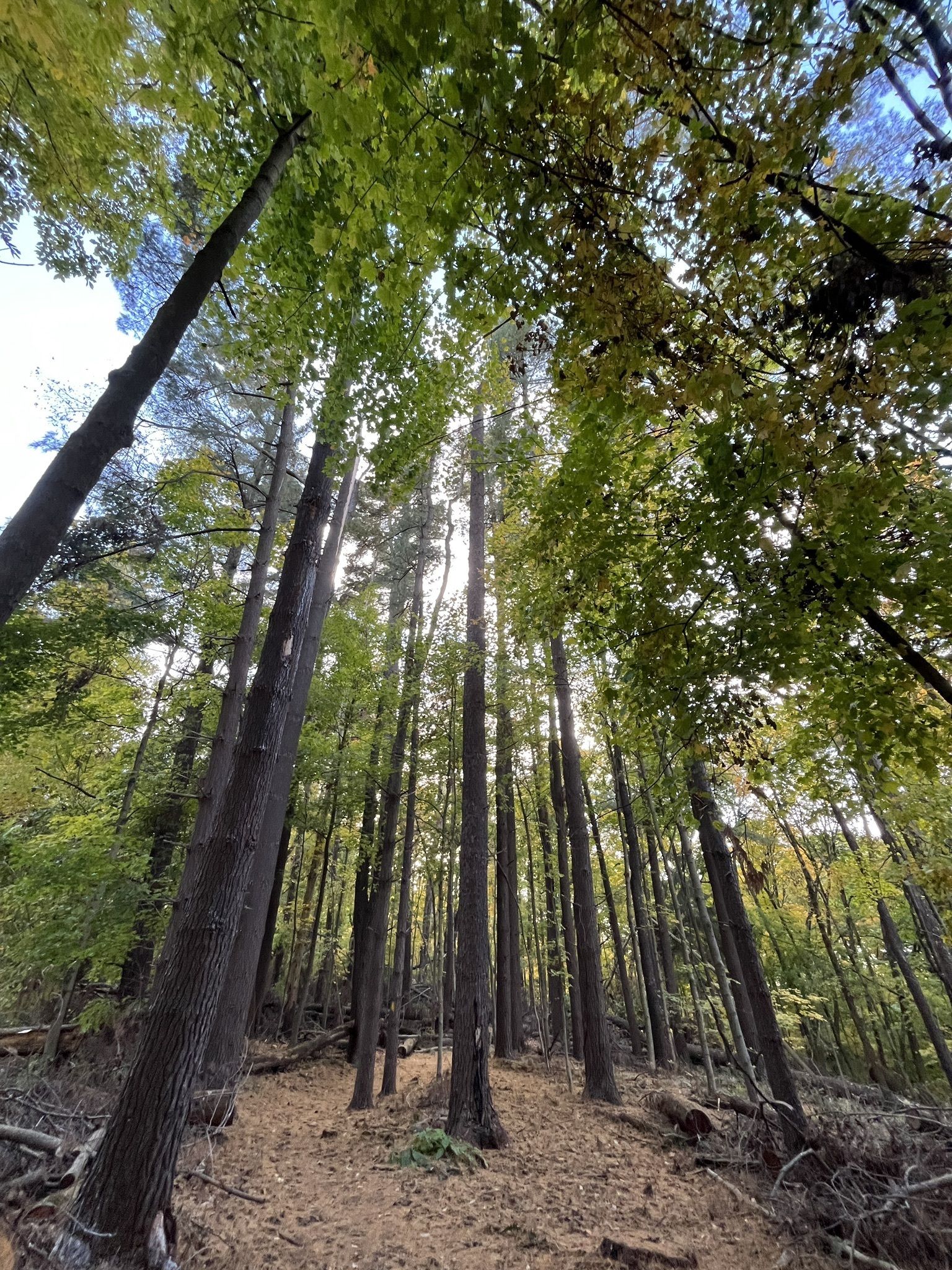 Photos of Wooster, Ohio trails | AllTrails