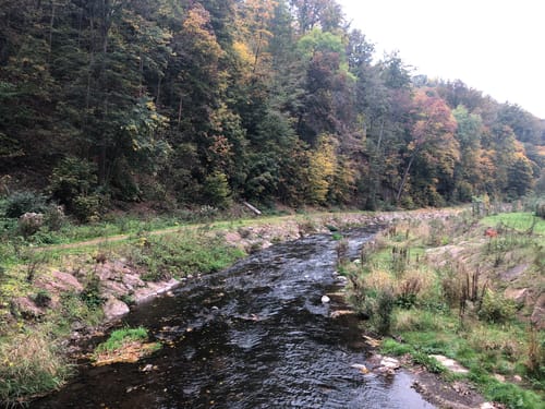 Rabenauer Grund - Somsdorf - Tharandt