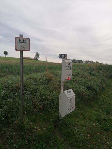 Fraunberg - Riding - Auerbach