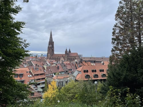Schlossberg Runde Freiburg