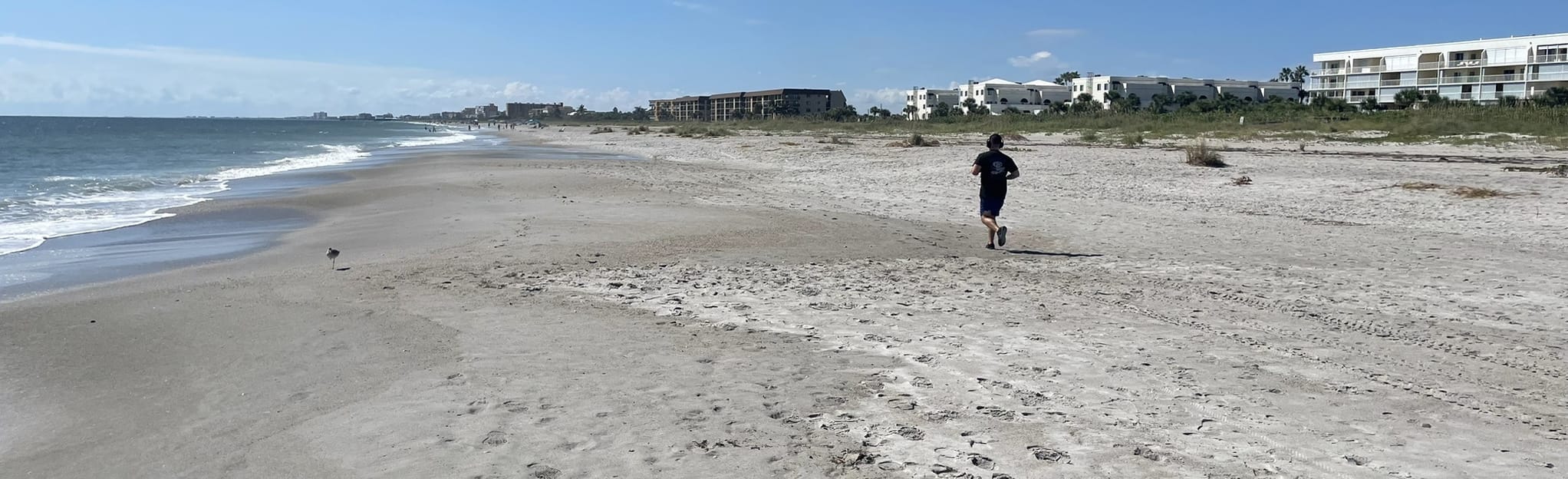 Cape Canaveral from Cherie Down - EyJidWNrZXQiOiJhc3NldHMuYWxsdHJhaWxzLmNvbSIsImtleSI6InVwbG9hZHMvcGhvdG8vaW1hZ2UvNTMxNzU4NDIvM2RiNjEzNzQyNzY2YjhkYzMxYzFmOGI5MzY3YmRiMTYuanBnIiwiZWRpdHMiOnsidG9Gb3JtYXQiOiJqcGVnIiwicmVzaXplIjp7IndpZHRoIjoyMDQ0LCJoZWlnaHQiOjYyNCwiZml0IjoiY292ZXIifSwicm90YXRlIjpudWxsLCJqcGVnIjp7InRyZWxsaXNRdWFudGlzYXRpb24iOnRydWUsIm92ZXJzaG9vdERlcmluZ2luZyI6dHJ1ZSwib3B0aW1pc2VTY2FucyI6dHJ1ZSwicXVhbnRpc2F0aW9uVGFibGUiOjN9fX0=