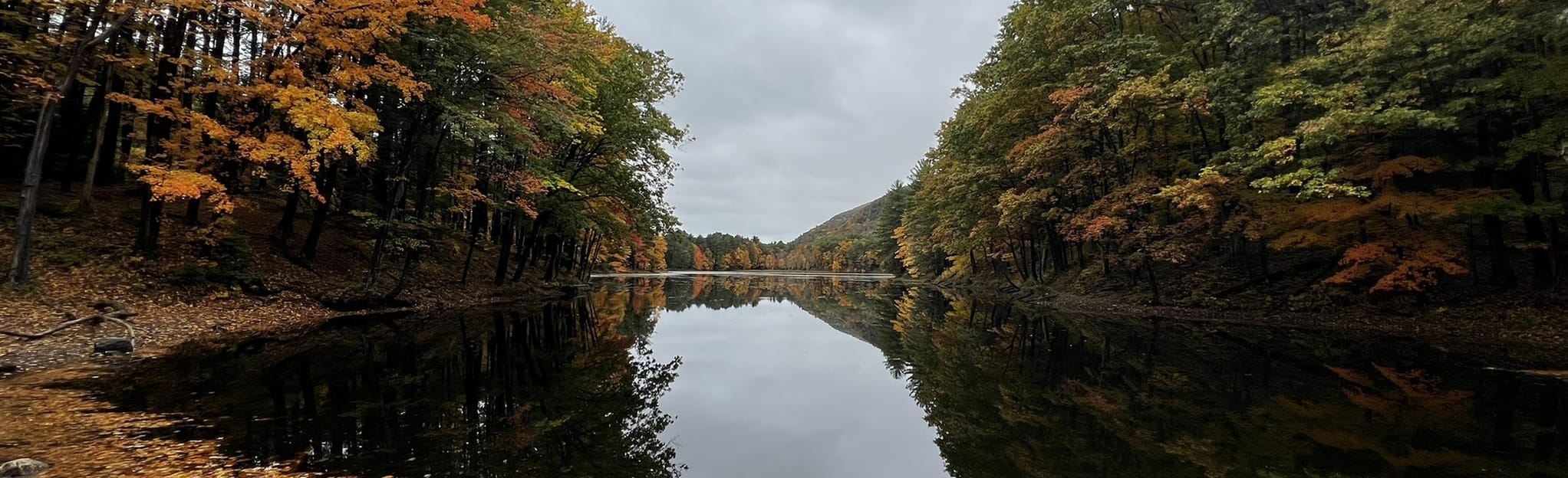 Cranberry Pond and Roaring Mountain Loop: 81 Reviews, Map ...